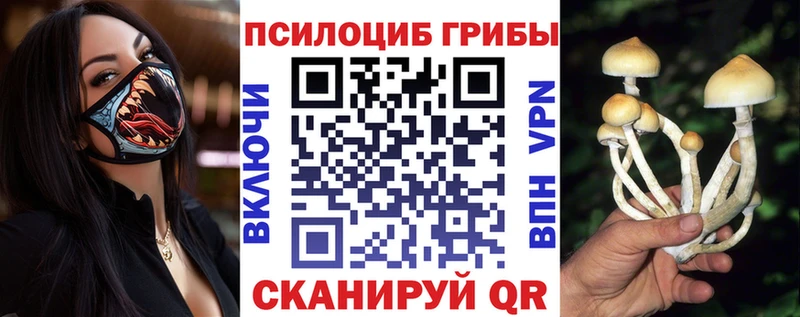 Галлюциногенные грибы Psilocybe  купить закладку  Суздаль 